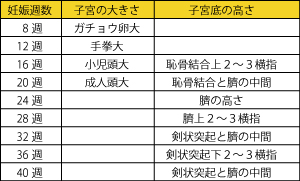 妊婦、マタニティ、銀のすず